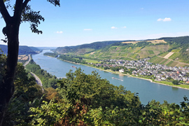 Landschaft am Romantischen Rhein